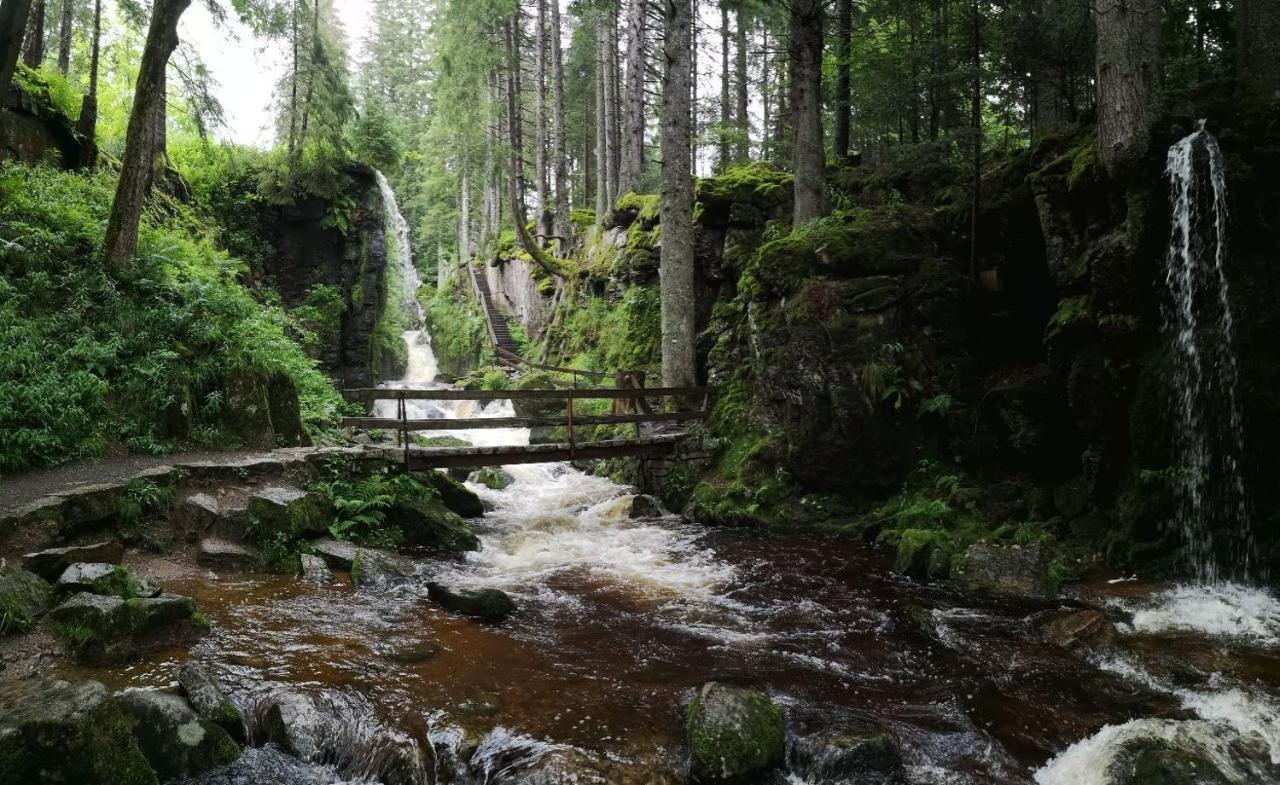C3 Albmatte-Fewo Sauna, Hallenbad Aussenbecken Massagen Nebenan St. Blasien Luaran gambar
