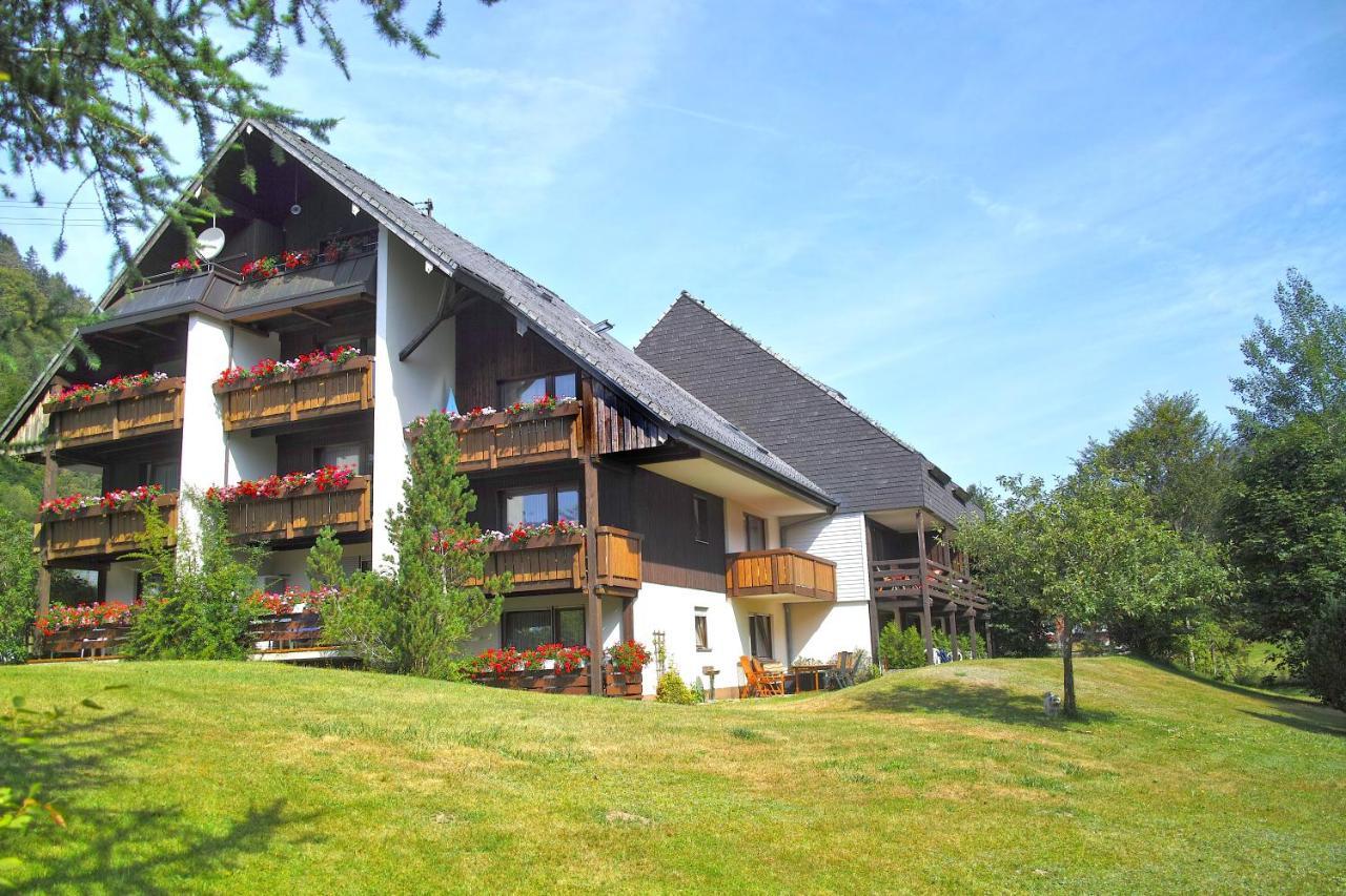 C3 Albmatte-Fewo Sauna, Hallenbad Aussenbecken Massagen Nebenan St. Blasien Luaran gambar