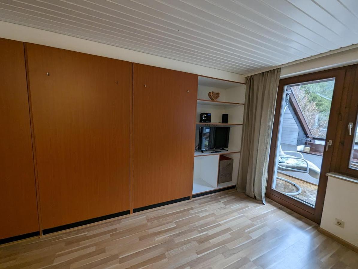 C3 Albmatte-Fewo Sauna, Hallenbad Aussenbecken Massagen Nebenan St. Blasien Luaran gambar