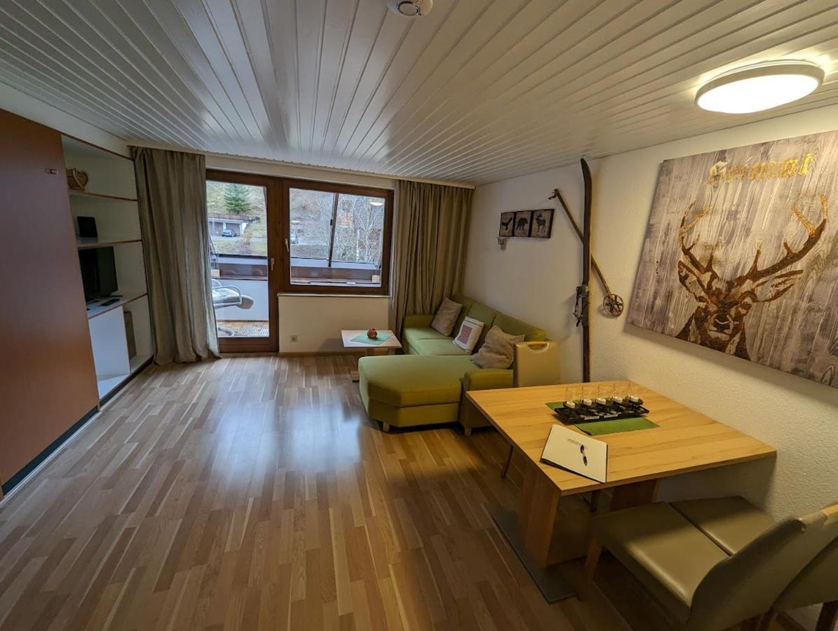 C3 Albmatte-Fewo Sauna, Hallenbad Aussenbecken Massagen Nebenan St. Blasien Luaran gambar