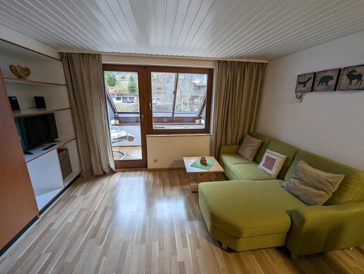 C3 Albmatte-Fewo Sauna, Hallenbad Aussenbecken Massagen Nebenan St. Blasien Luaran gambar