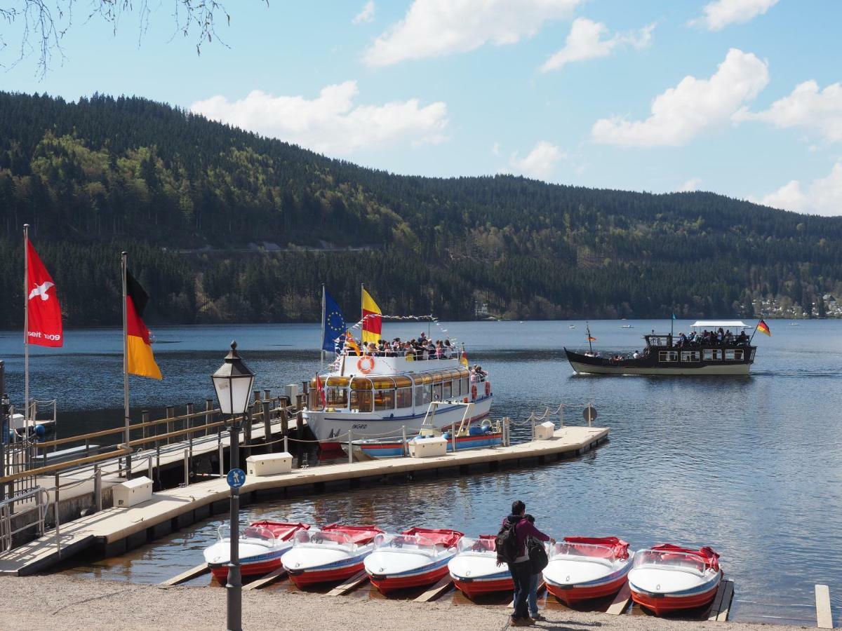C3 Albmatte-Fewo Sauna, Hallenbad Aussenbecken Massagen Nebenan St. Blasien Luaran gambar