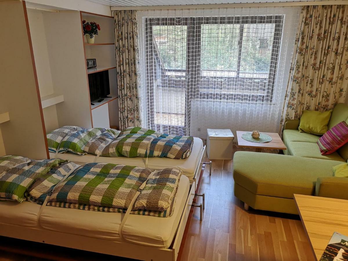 C3 Albmatte-Fewo Sauna, Hallenbad Aussenbecken Massagen Nebenan St. Blasien Luaran gambar