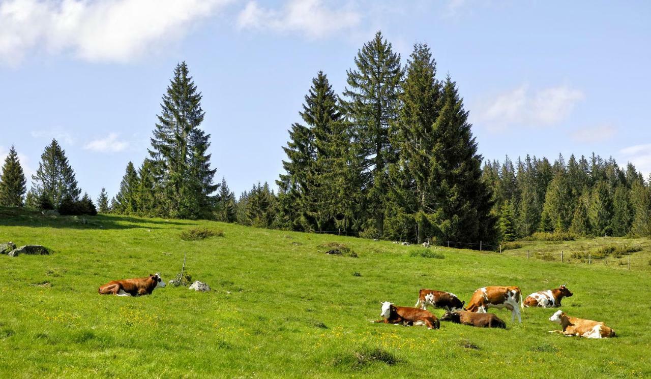 C3 Albmatte-Fewo Sauna, Hallenbad Aussenbecken Massagen Nebenan St. Blasien Luaran gambar