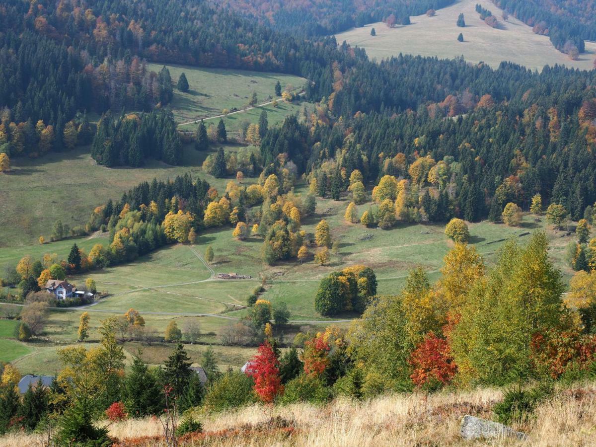 C3 Albmatte-Fewo Sauna, Hallenbad Aussenbecken Massagen Nebenan St. Blasien Luaran gambar