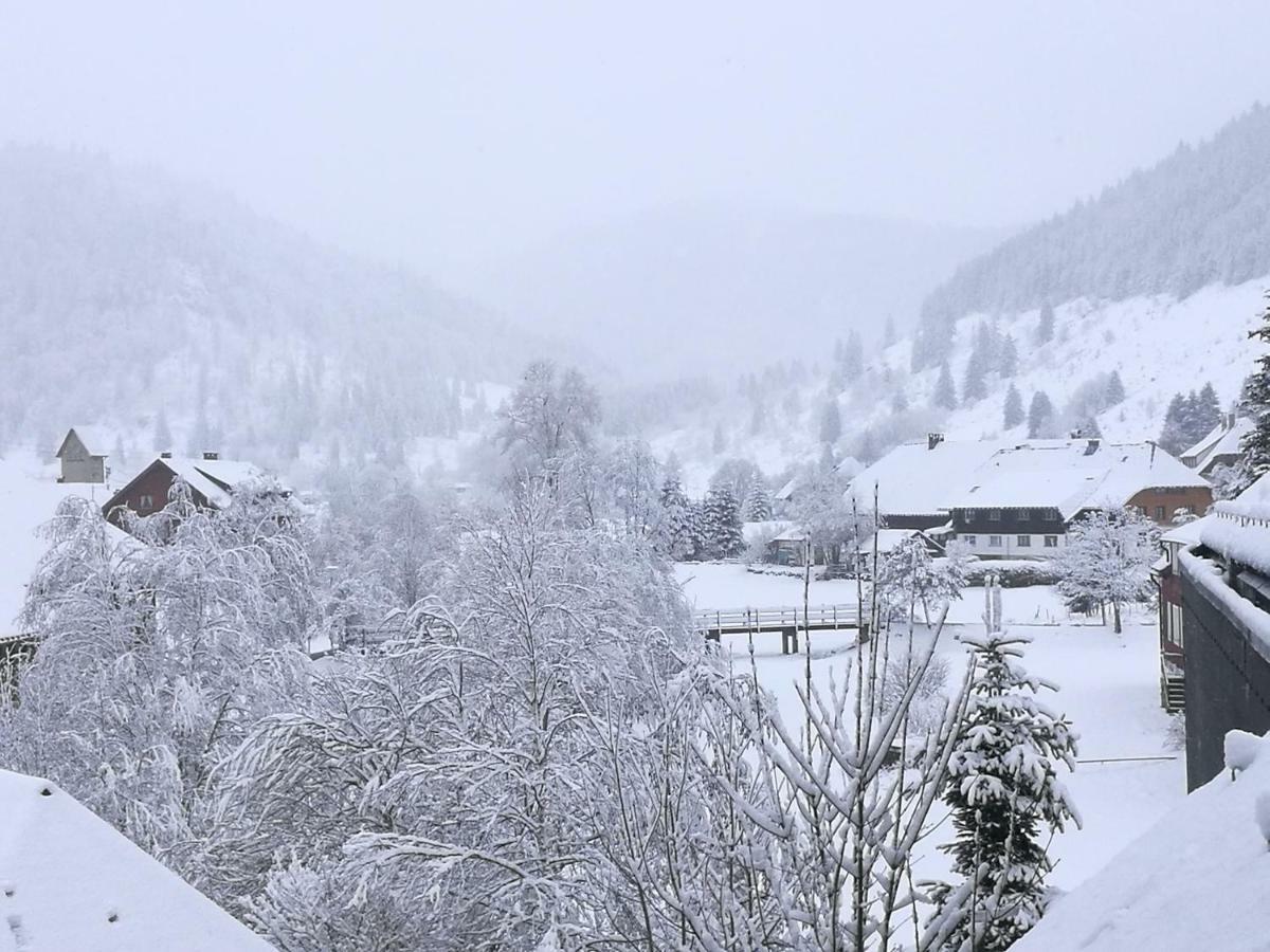 C3 Albmatte-Fewo Sauna, Hallenbad Aussenbecken Massagen Nebenan St. Blasien Luaran gambar