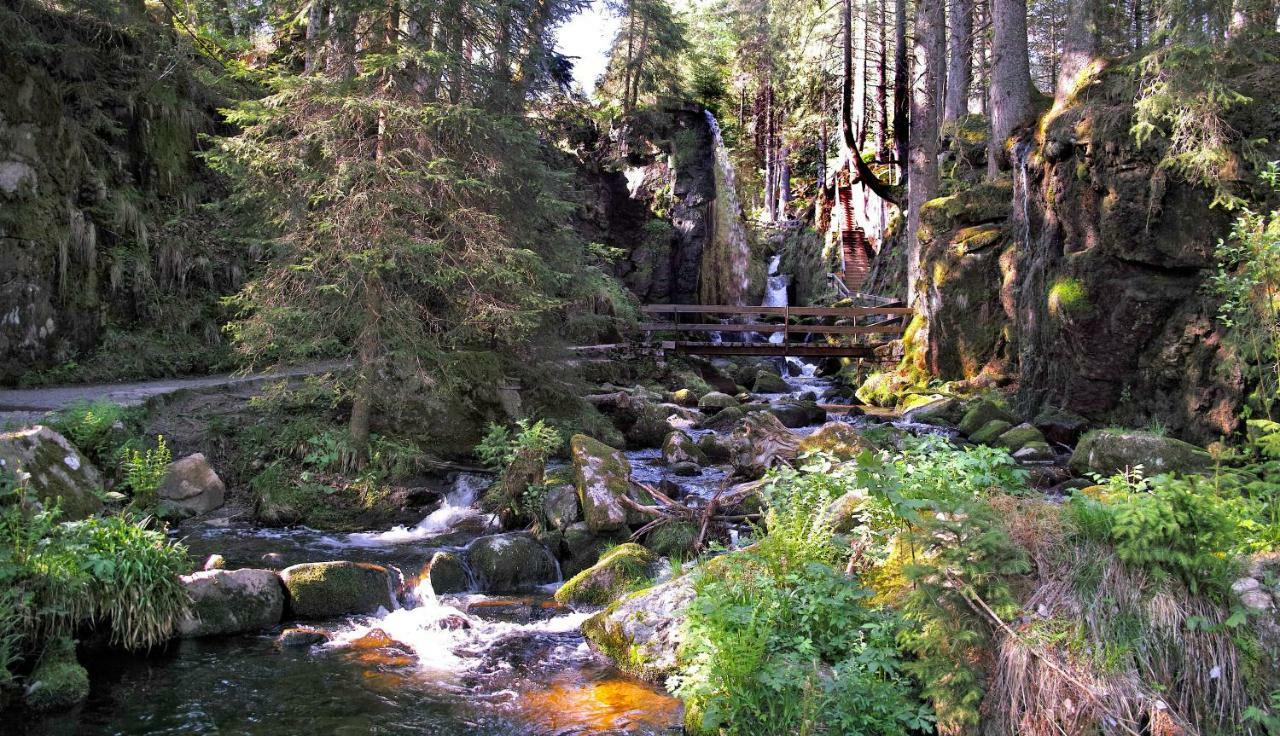 C3 Albmatte-Fewo Sauna, Hallenbad Aussenbecken Massagen Nebenan St. Blasien Luaran gambar
