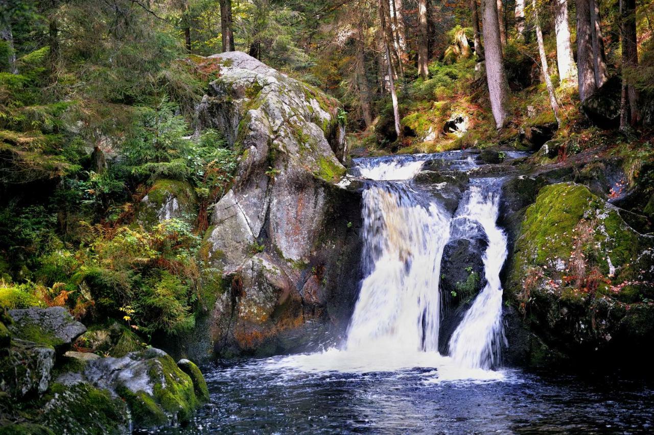 C3 Albmatte-Fewo Sauna, Hallenbad Aussenbecken Massagen Nebenan St. Blasien Luaran gambar