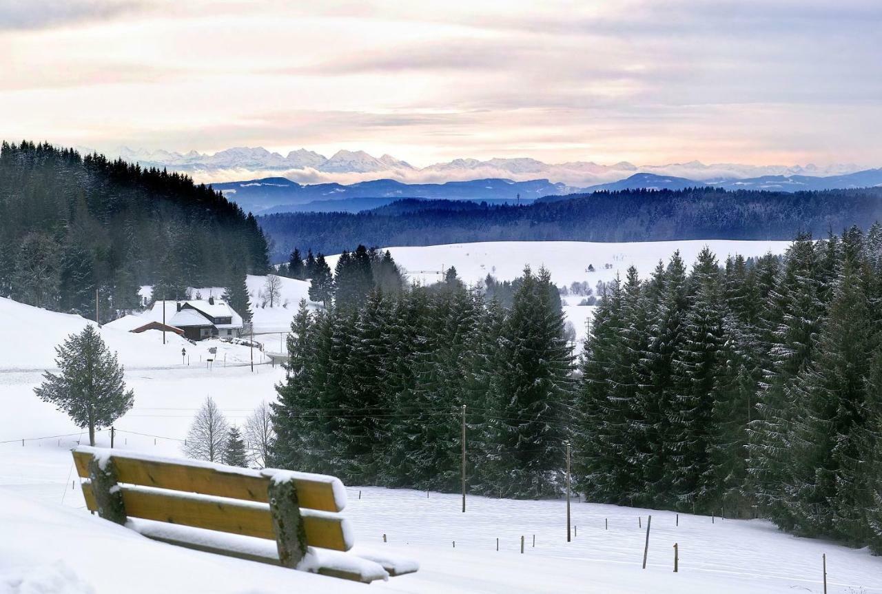 C3 Albmatte-Fewo Sauna, Hallenbad Aussenbecken Massagen Nebenan St. Blasien Luaran gambar