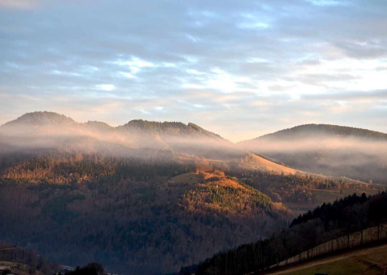 C3 Albmatte-Fewo Sauna, Hallenbad Aussenbecken Massagen Nebenan St. Blasien Luaran gambar