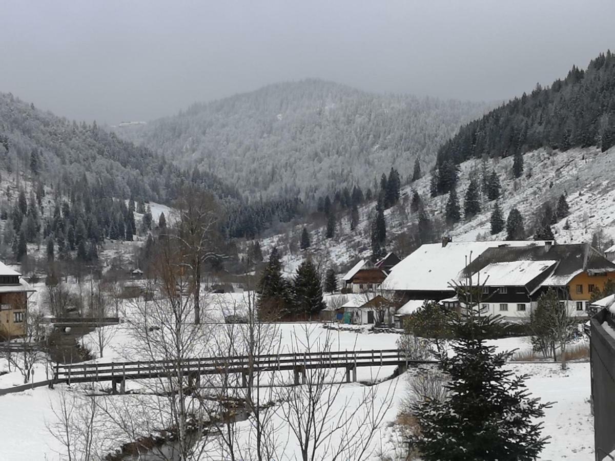 C3 Albmatte-Fewo Sauna, Hallenbad Aussenbecken Massagen Nebenan St. Blasien Luaran gambar