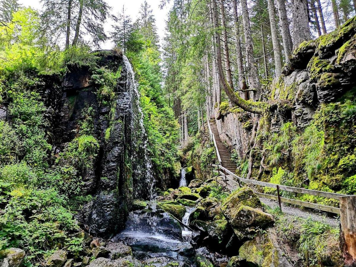 C3 Albmatte-Fewo Sauna, Hallenbad Aussenbecken Massagen Nebenan St. Blasien Luaran gambar