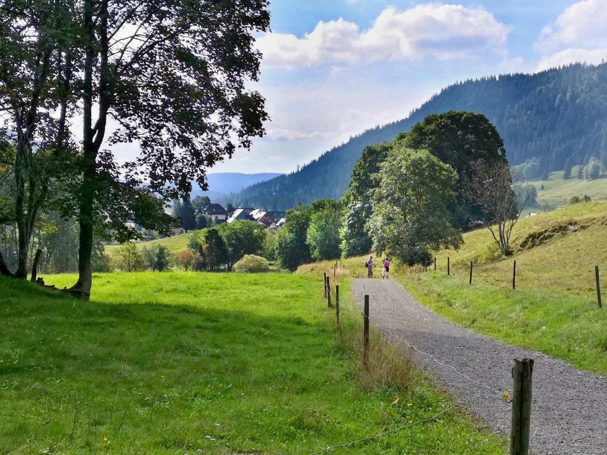 C3 Albmatte-Fewo Sauna, Hallenbad Aussenbecken Massagen Nebenan St. Blasien Luaran gambar