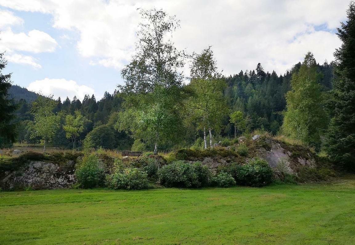 C3 Albmatte-Fewo Sauna, Hallenbad Aussenbecken Massagen Nebenan St. Blasien Luaran gambar