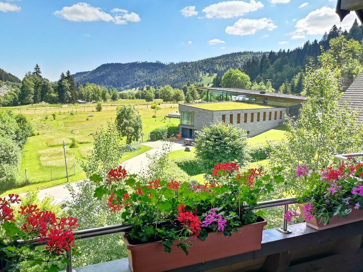 C3 Albmatte-Fewo Sauna, Hallenbad Aussenbecken Massagen Nebenan St. Blasien Luaran gambar
