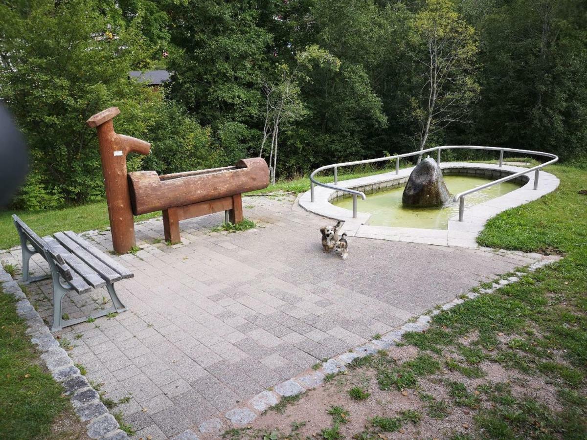 C3 Albmatte-Fewo Sauna, Hallenbad Aussenbecken Massagen Nebenan St. Blasien Luaran gambar