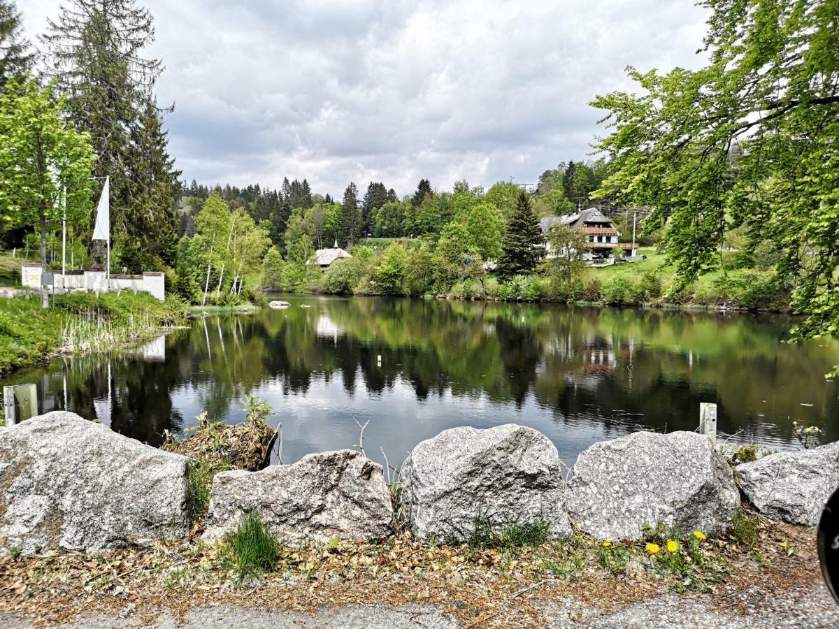C3 Albmatte-Fewo Sauna, Hallenbad Aussenbecken Massagen Nebenan St. Blasien Luaran gambar