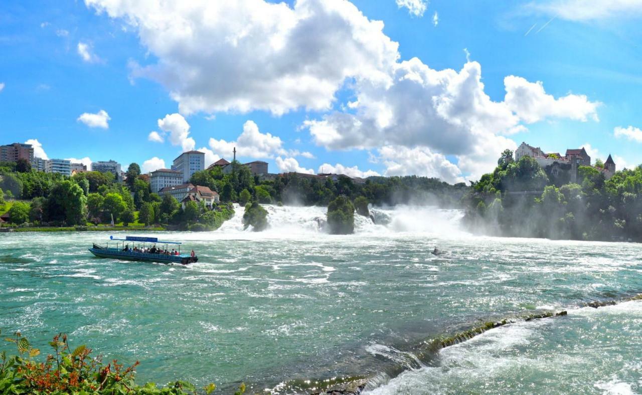 C3 Albmatte-Fewo Sauna, Hallenbad Aussenbecken Massagen Nebenan St. Blasien Luaran gambar